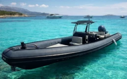 Sea Water Phantom 300 - Photo