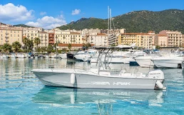 Chris Craft Sea Hawk 213 - Photo